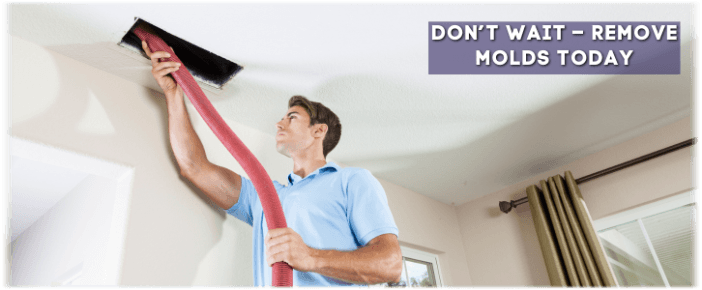 Air Duct Mold Removal in Pasadena TX